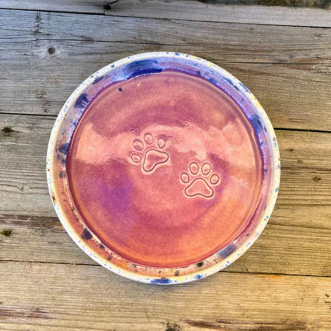 Shoreline Cat Bowl, a colourful cat bowl placed on a wooden surface. 