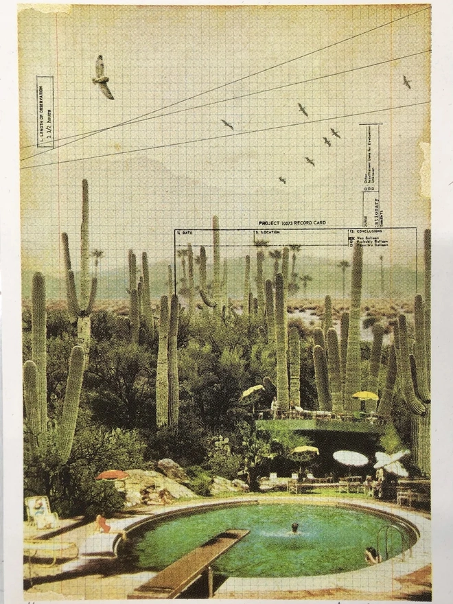 At The Foot Of The Cacti Mini Edition Screenprint