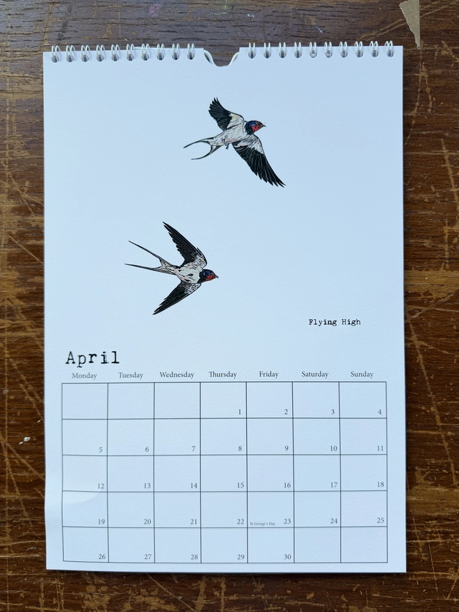 Flying High Swallows for April