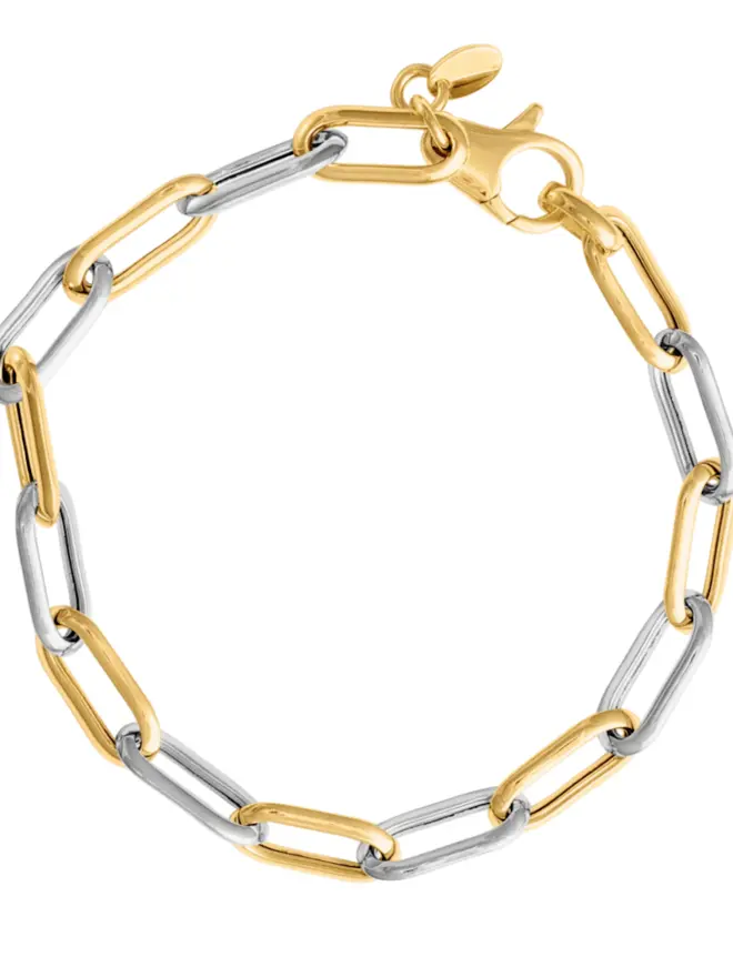Loel Mixed Metal Long Link Chain Bracelet