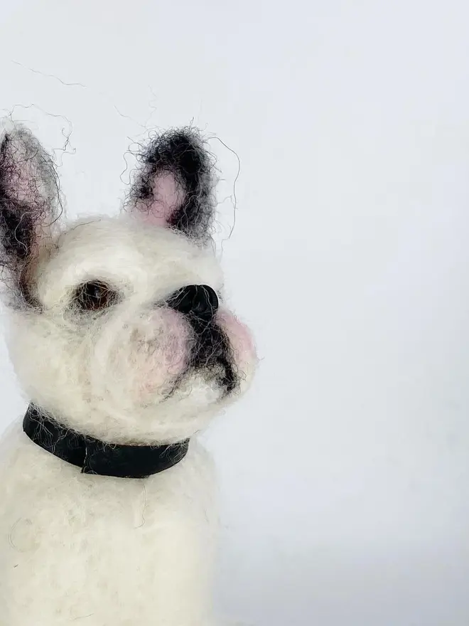 merino wool french bulldog portrait