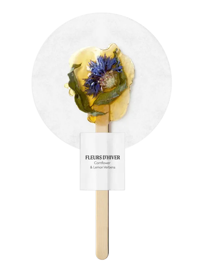 Fleurs-d-hiver-Cornflower-Lemon-Verbena