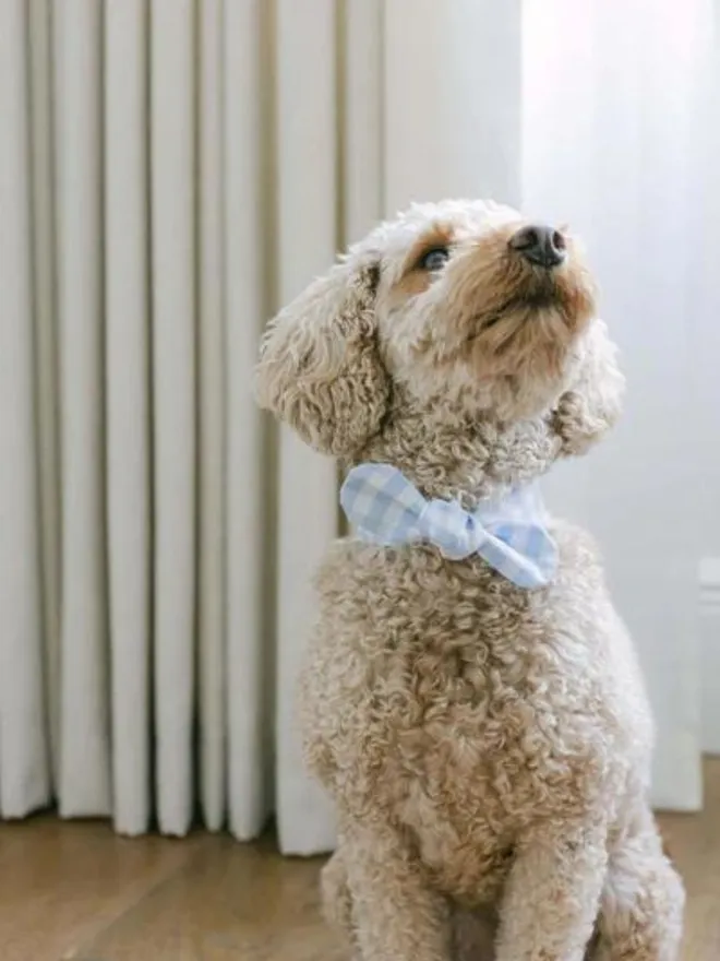 Handmade Gingham Dog Necktie