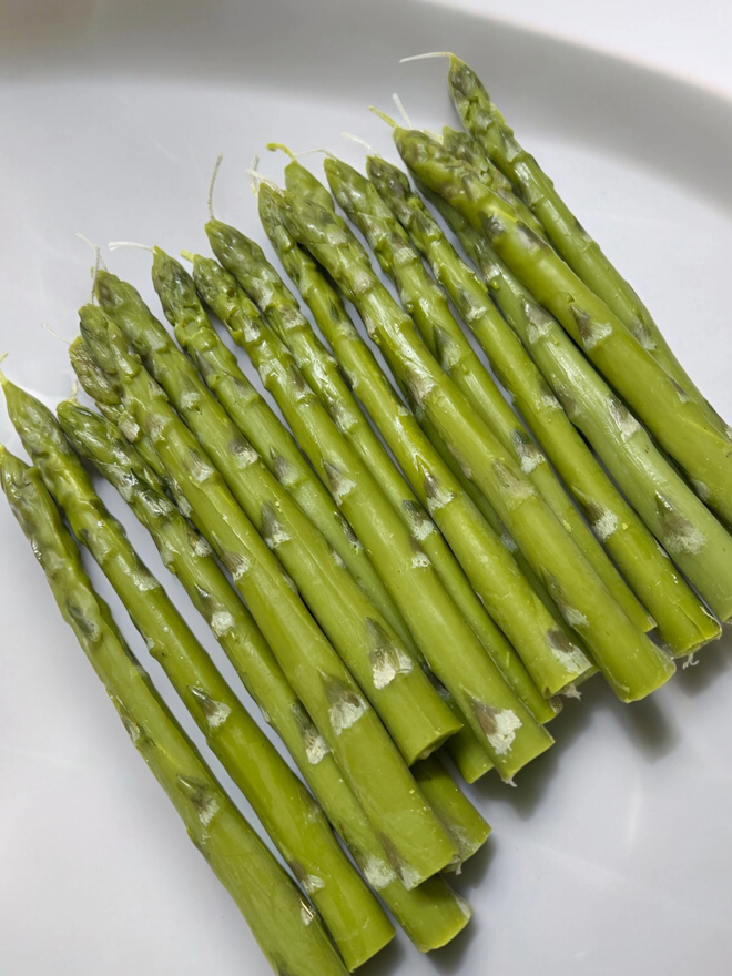 Asparagus Spear Dinner Candles