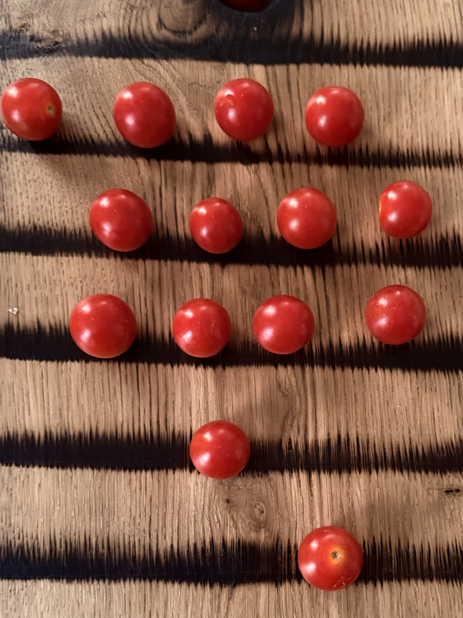 Charred grill lines with rows of tomatoes on oak grill lined barbecue board.