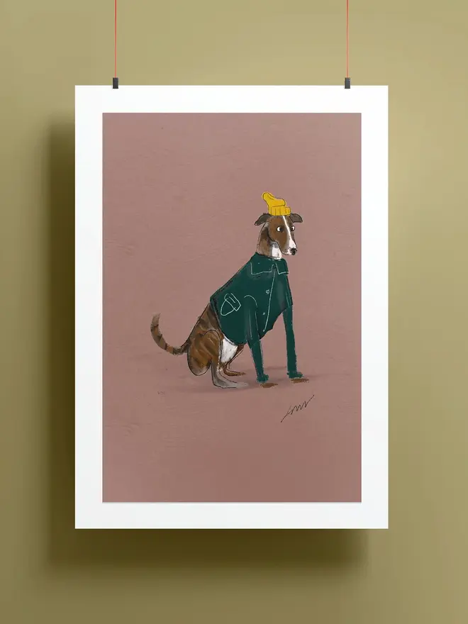 mini greyhound illustration
