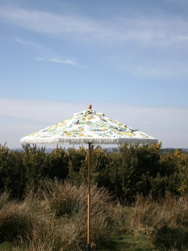 Josef Frank Citrus Garden Parasol. A parasol with a citrus pattern.