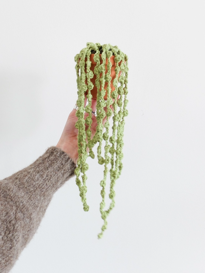One crocheted string of pearls plant