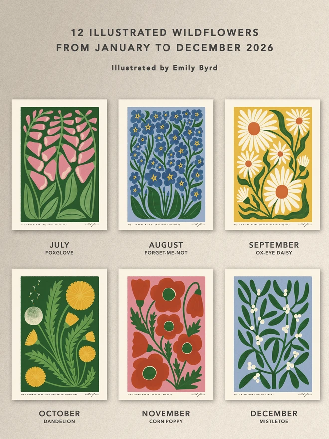 Wildflower 2026 calendar 