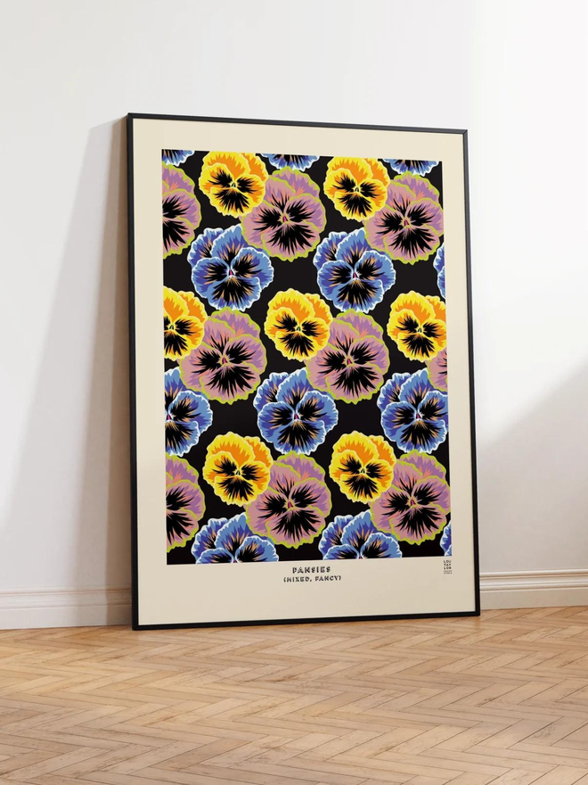 blue yellow and pink pansy Giclee print