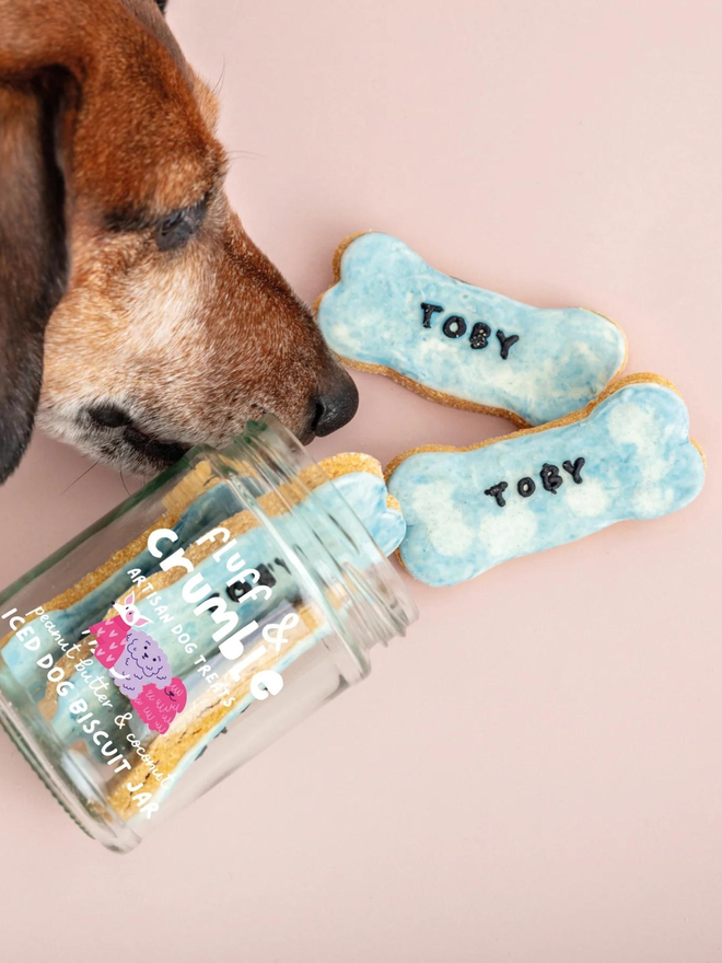 blue personalised iced dog bone biscuits with jar