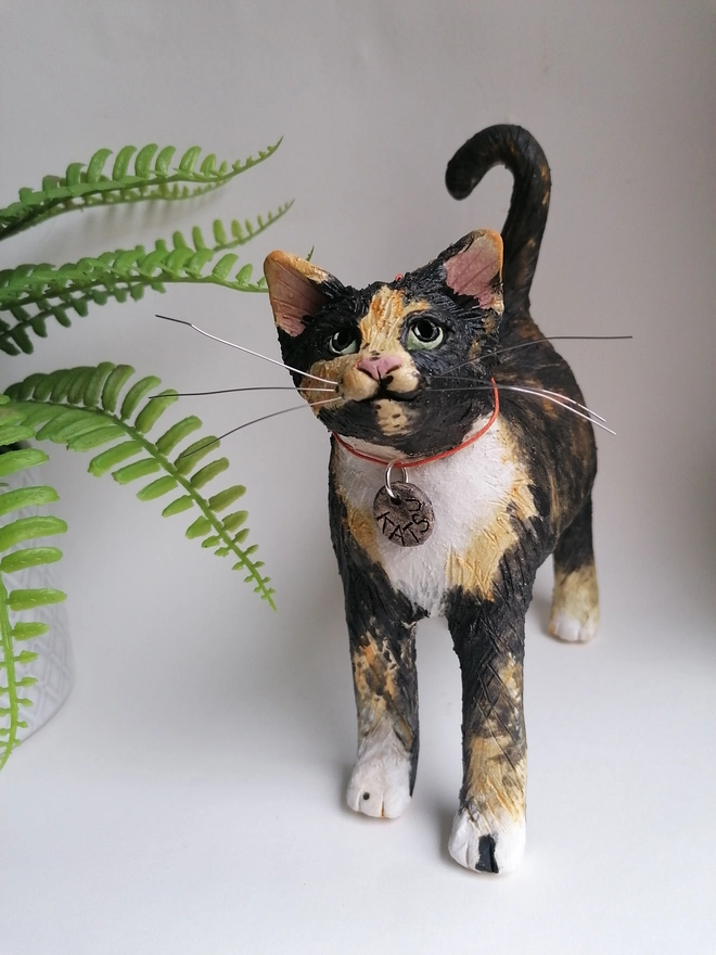 Personalised Tortoiseshell and white cat