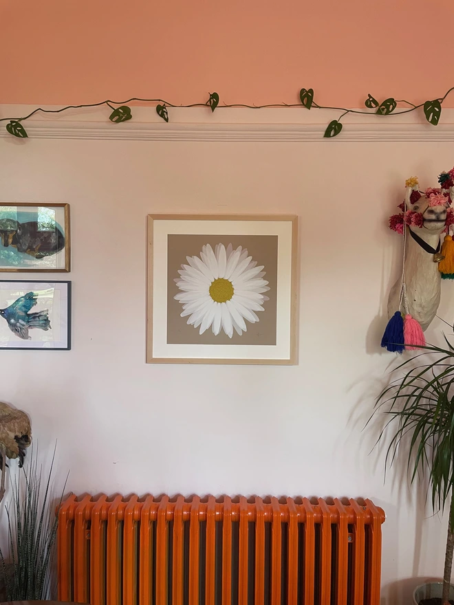 Daisy, Screen print, hannah Carvell