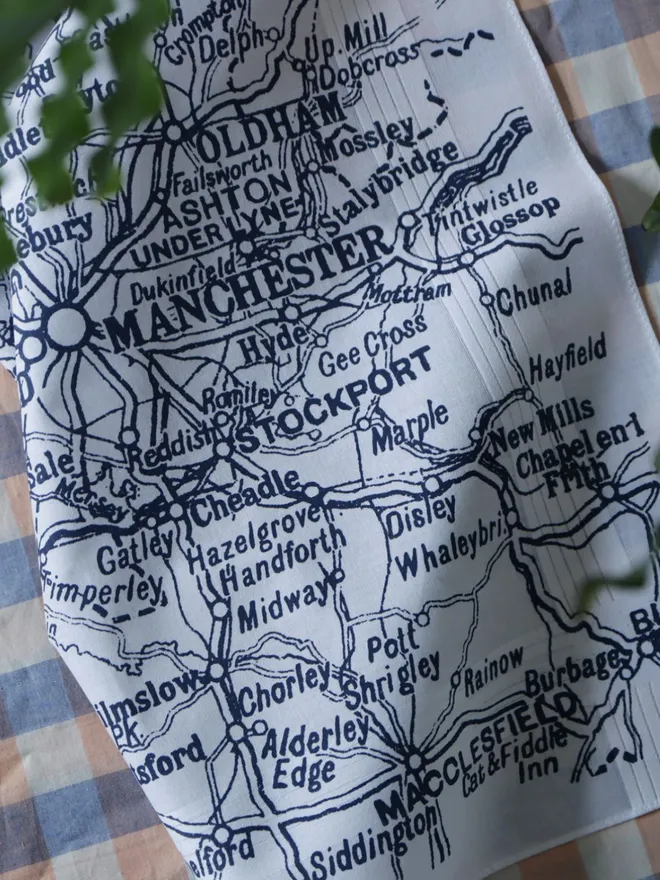 Detail of Mr.PS Greater Manchester Handkerchief, laid on a gingham tablecloth with houseplant leaves
