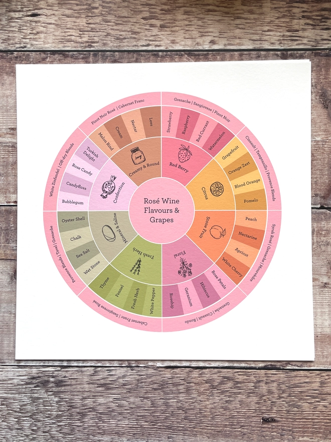 A circular printed rosé wine flavours and grapes chart