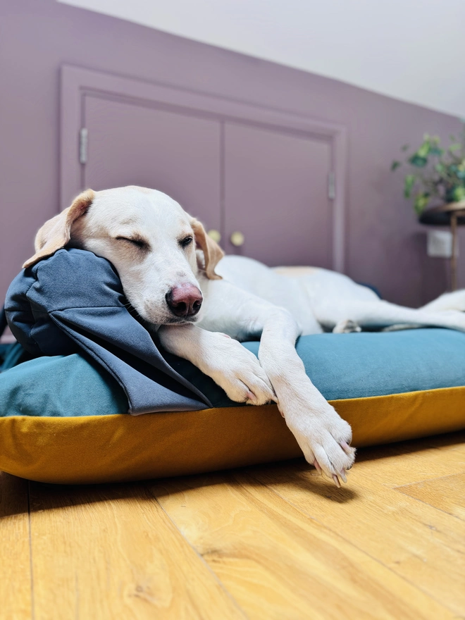 Reversible K-9 Candy Dog Bed