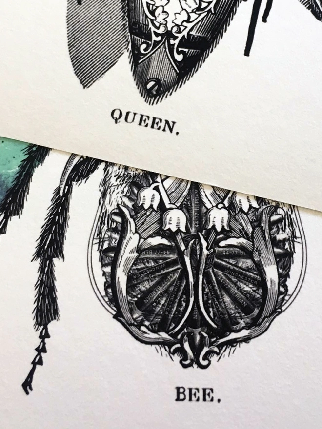 Queen bee limited edition giclee print hand finished with gold leaf - digital print