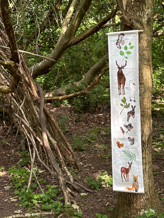 the fabric woodland height chart hung in a tree in the woods