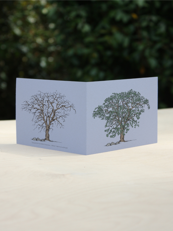 summer and winter tree illustrated greetings card