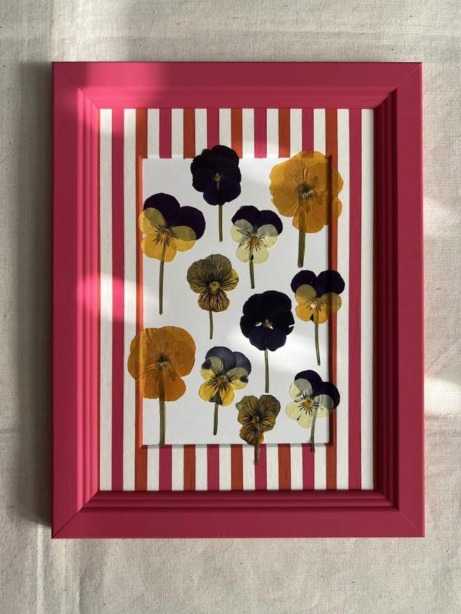 pressed Pansys in hand painted pink frame