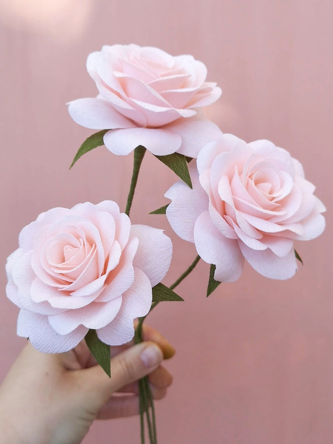 3 blush pink crepe paper roses