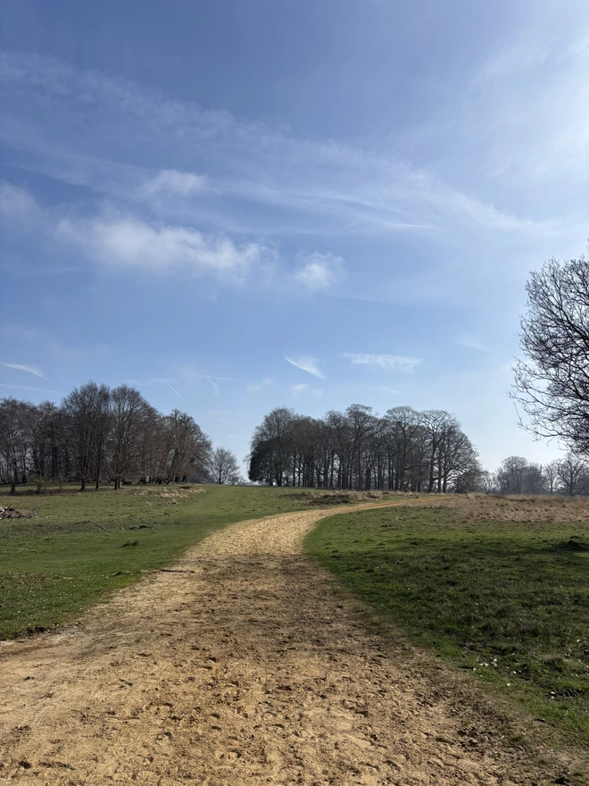 Windsor Great Park