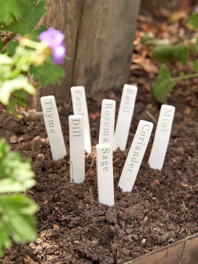 Ceramic plant herb marker