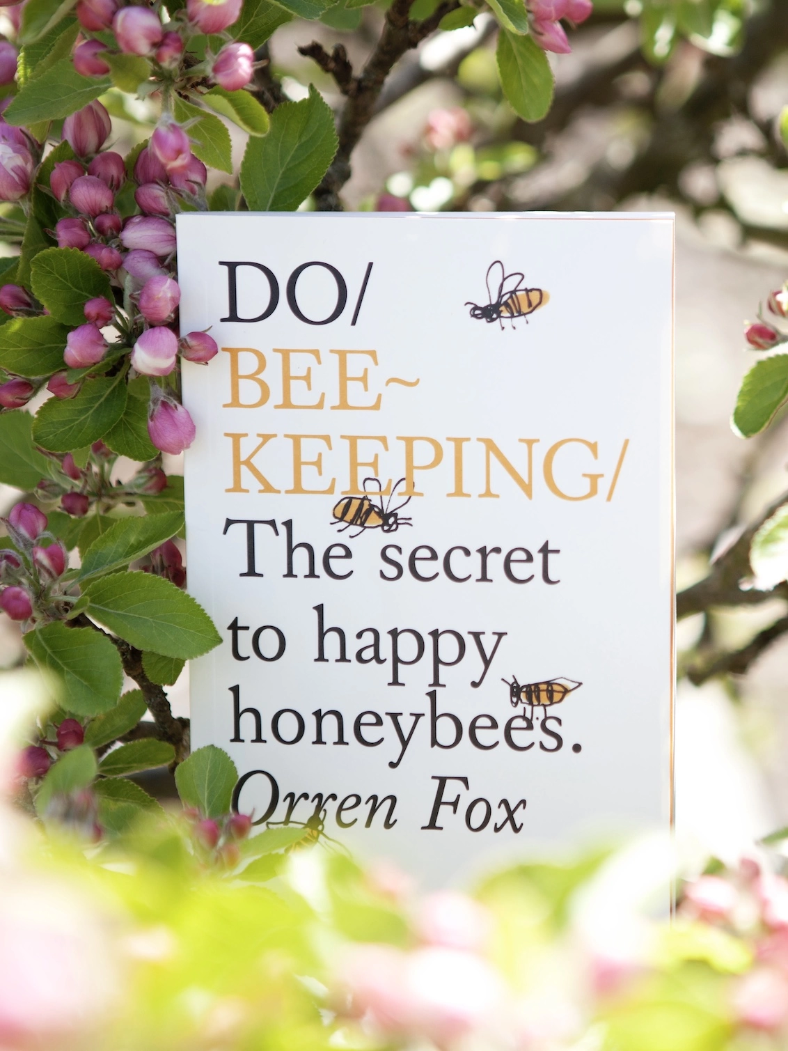 GIFTS FOR BEE LOVERS - Beekeeping Like A Girl