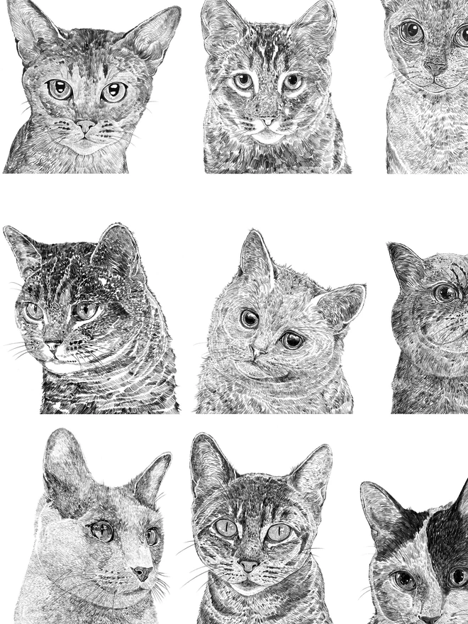 Detail of cat collection art print