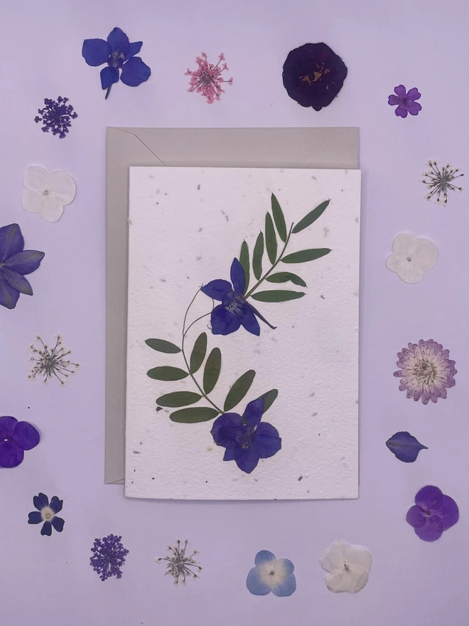 Real Pressed Flower Plantable Card, Purple