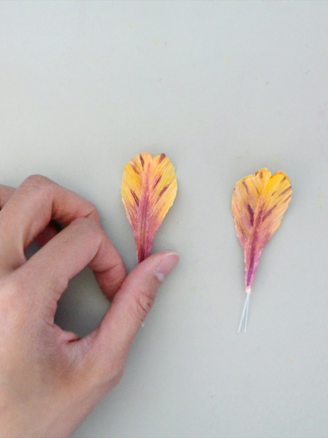 Crepe Paper Bearded Iris DIY Kit