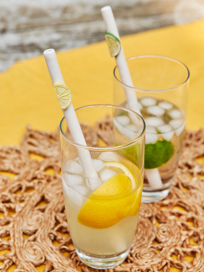 Lemon, Lime and Orange slice ceramic drinking straws on a garden table