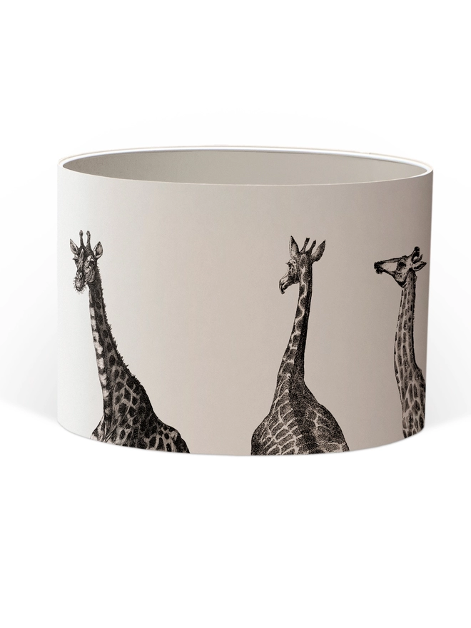 Drum Lampshade featuring Giraffes with a white inner on a white background