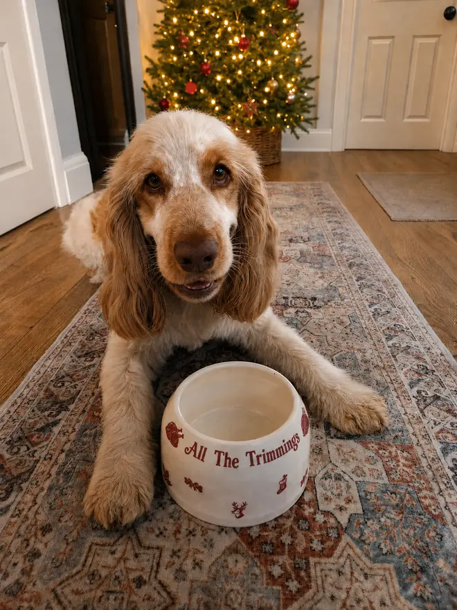 Orange roan Cocker Spaniel beside a handmade Christmas Ear Free dog bowl reading All The Trimmings, with a Christmas tree behind.