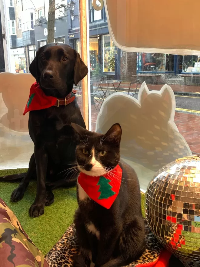 Slip on Bandanas For Cats at Christmas