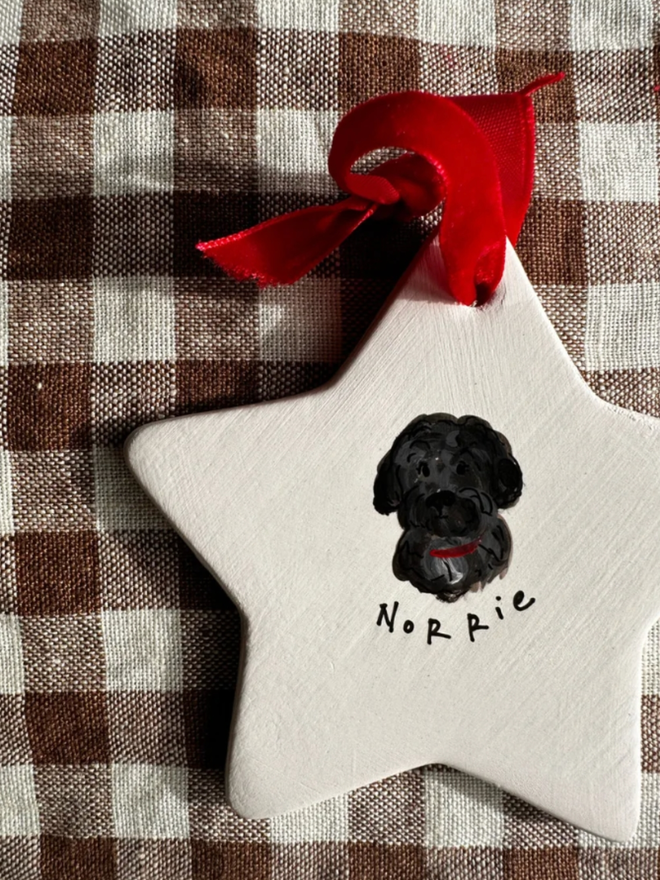 Personalised Illustrated Star. A star with an illustration.