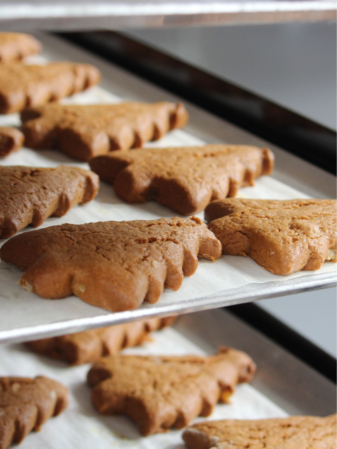 artisan gingerbread christmas tree biscuits on baking sheet