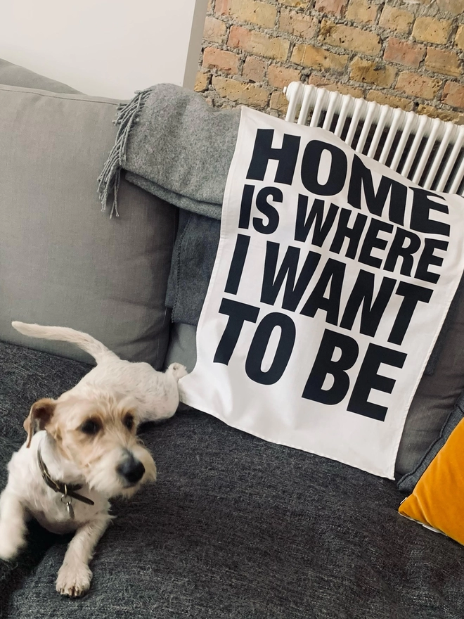 London Drying Home Is Where I Want to Be black text on white tea towel laying on back of sofa with a dog in the foreground