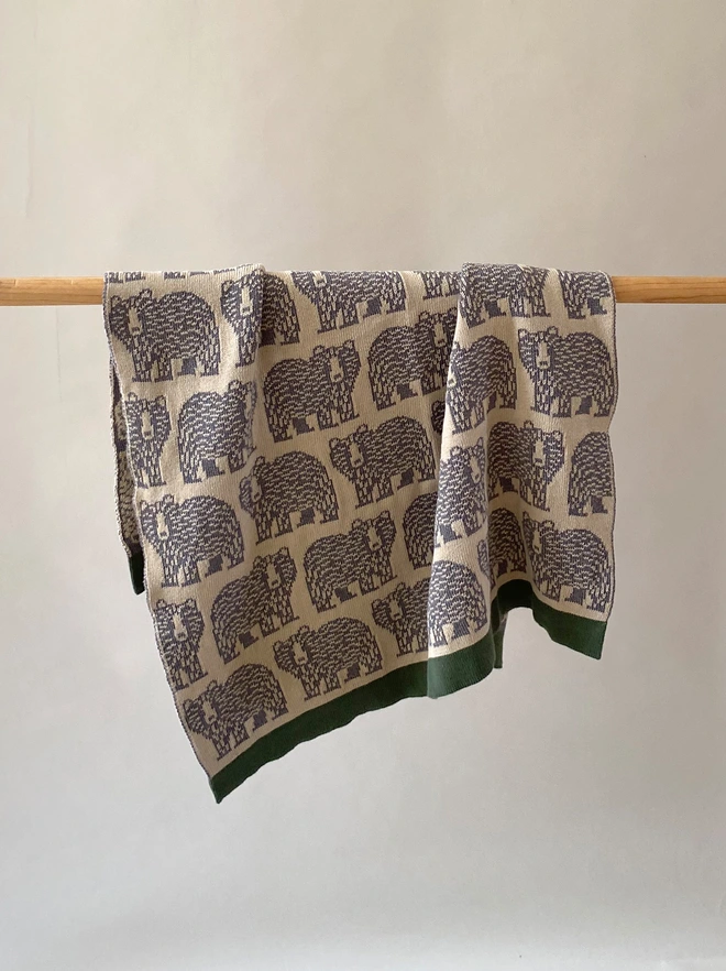 Bear Blanket