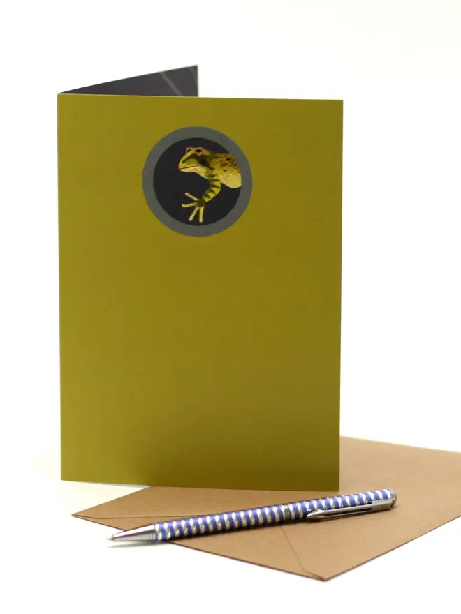 3d frog pop out card