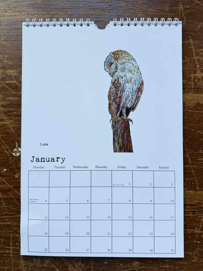 Luna for month of January