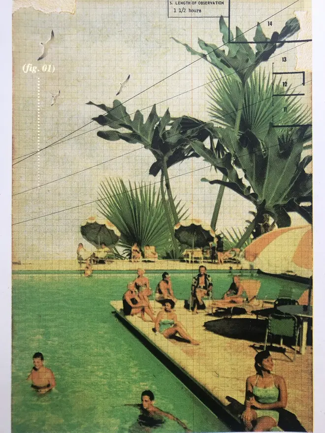 Tropical Swim A3 Edition Screenprint