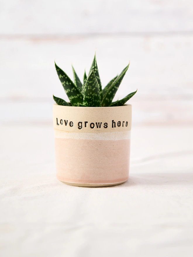 small ceramic planter