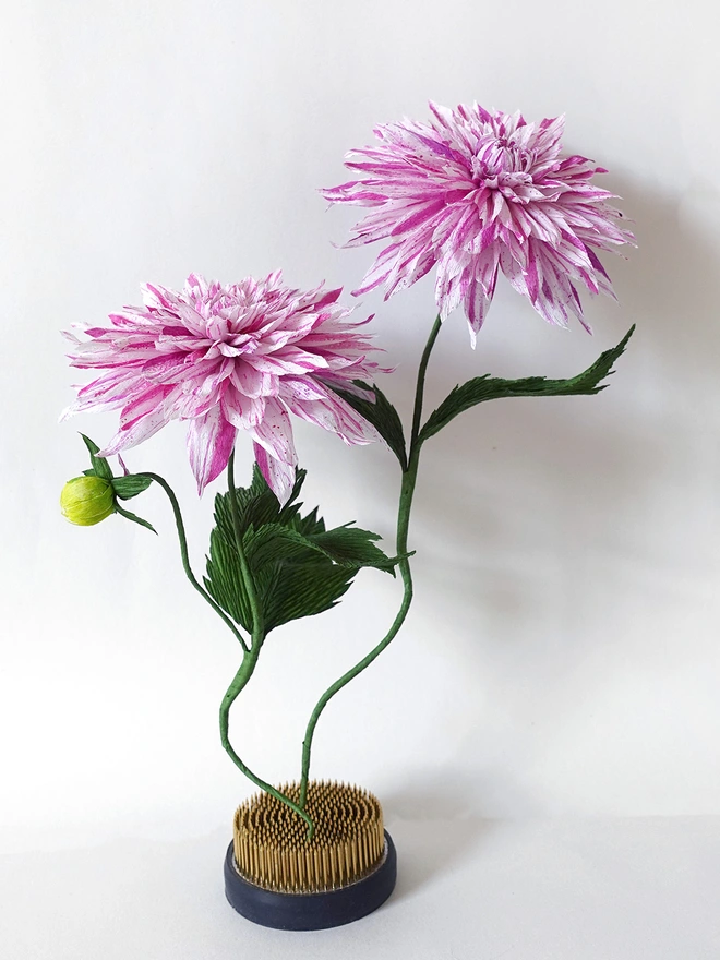 Crepe Paper Cafe Au Lait Twist Dahlia DIY Kit