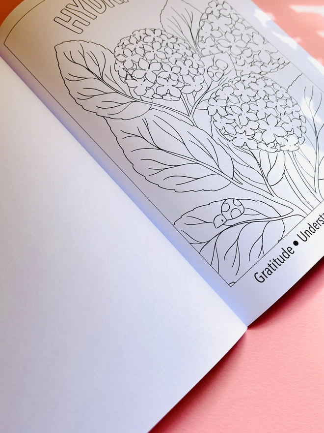 Close up of floral colouring page featuring a hydrangea and cute ladybirds