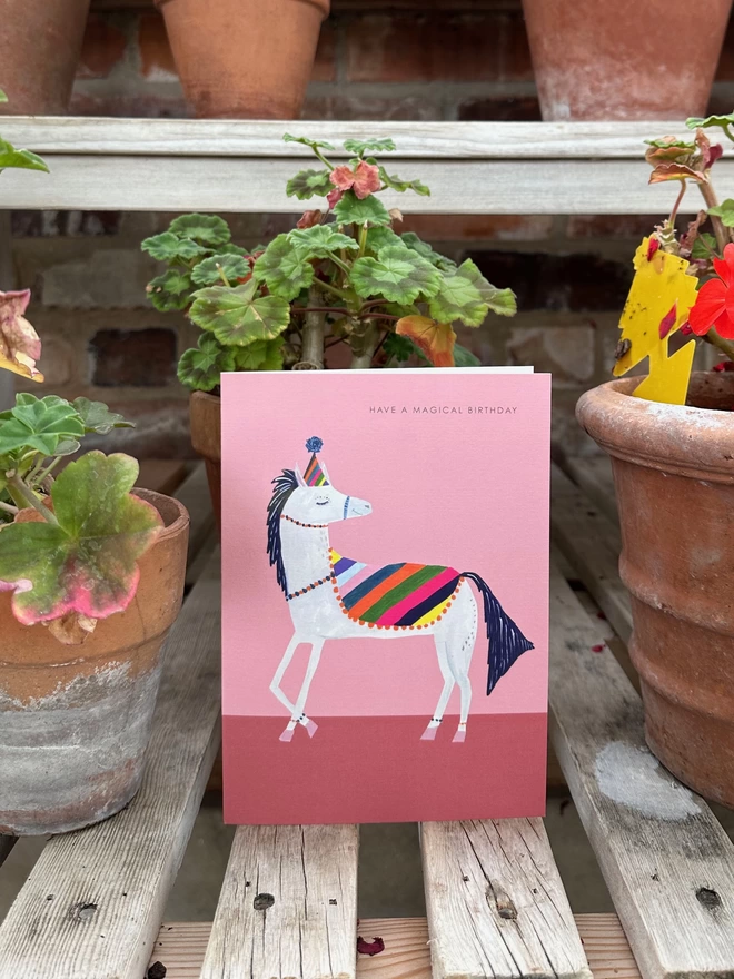 Magical rainbow horse card