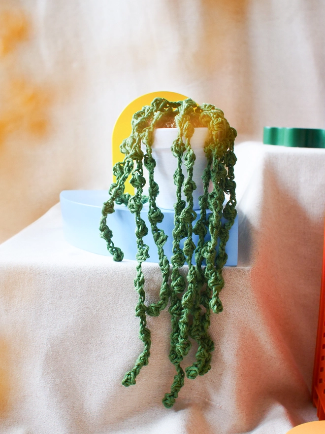 crochet string of pearls plant