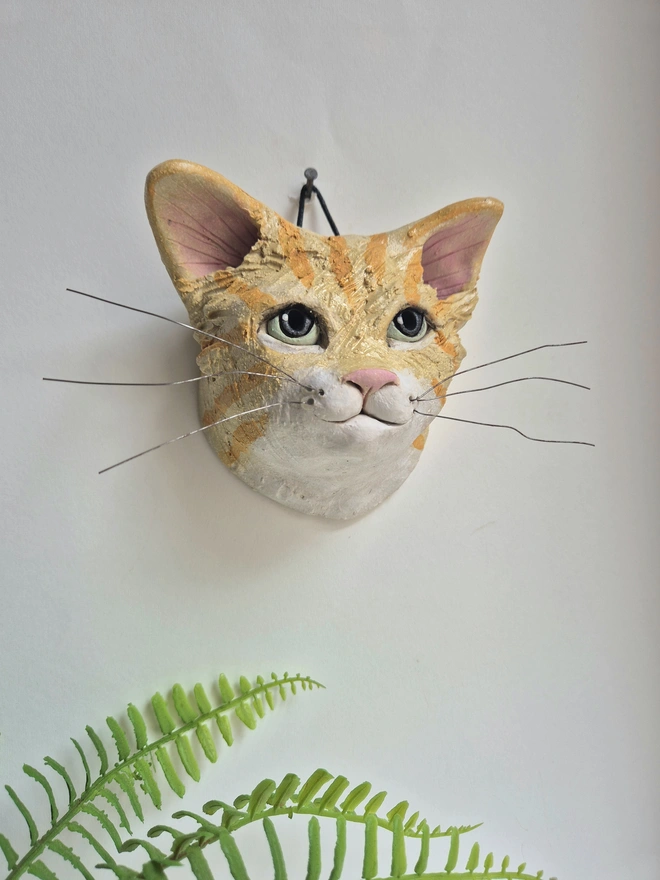 Ginger And White Tabby Cat head