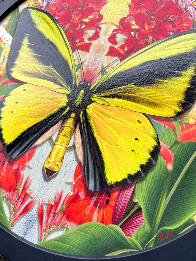 Photo of a black circular frame and artwork with a yellow, goliath birdwing butterfly in the centre, surrounded by tropical foliage and red flowers arranged in a symmetrical pattern. 