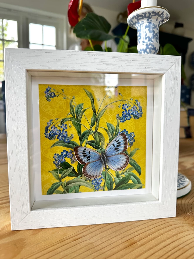 Framed butterflygram gift